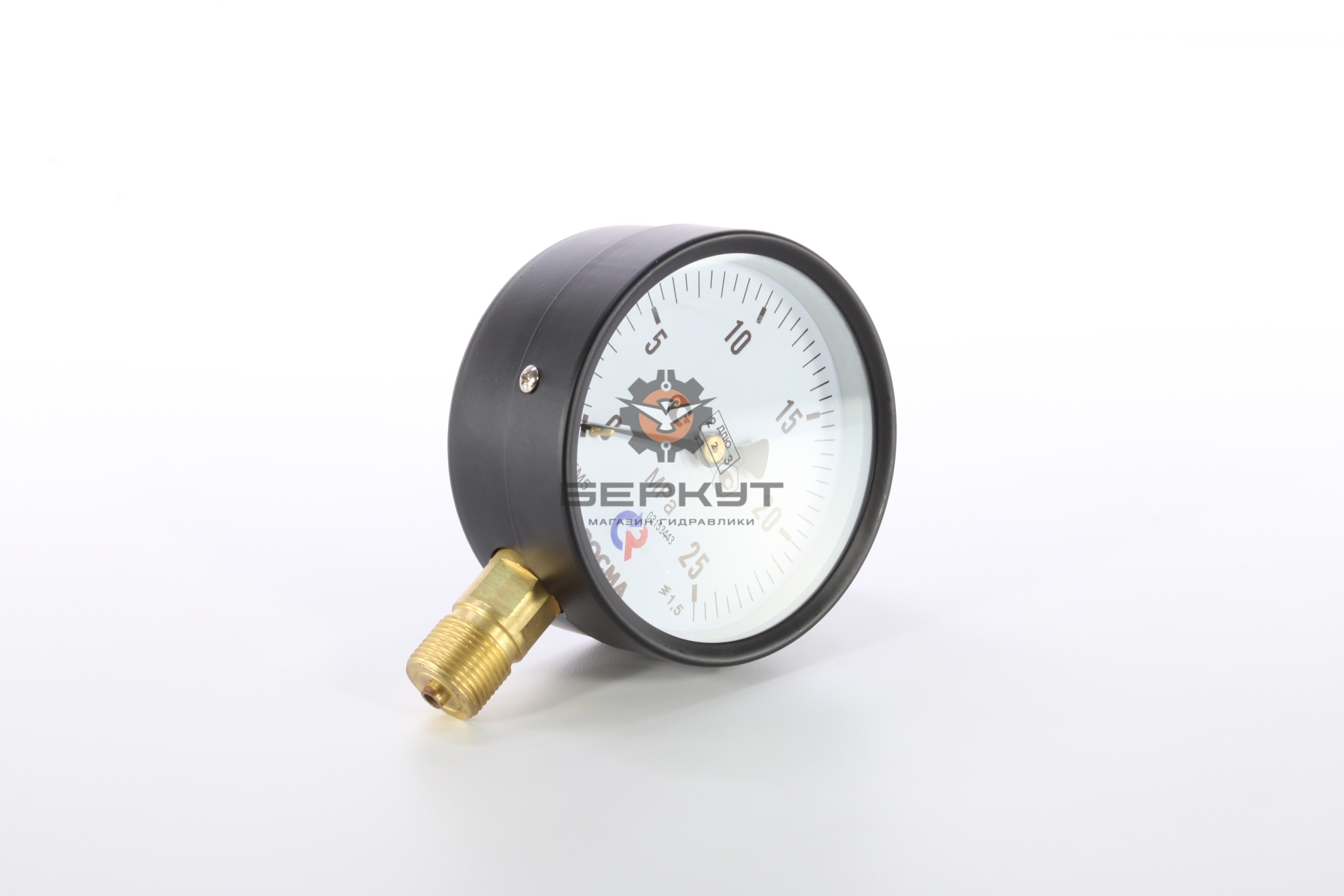Манометр ТМ-510Р.00 М20*1,5 штуцер радиальный  250 кг/см2